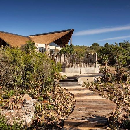 Lalibela Game Reserve - Kichaka Lodge Paterson Zewnętrze zdjęcie