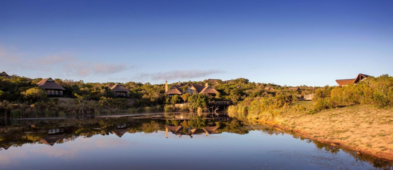 Lalibela Game Reserve - Kichaka Lodge Paterson Zewnętrze zdjęcie