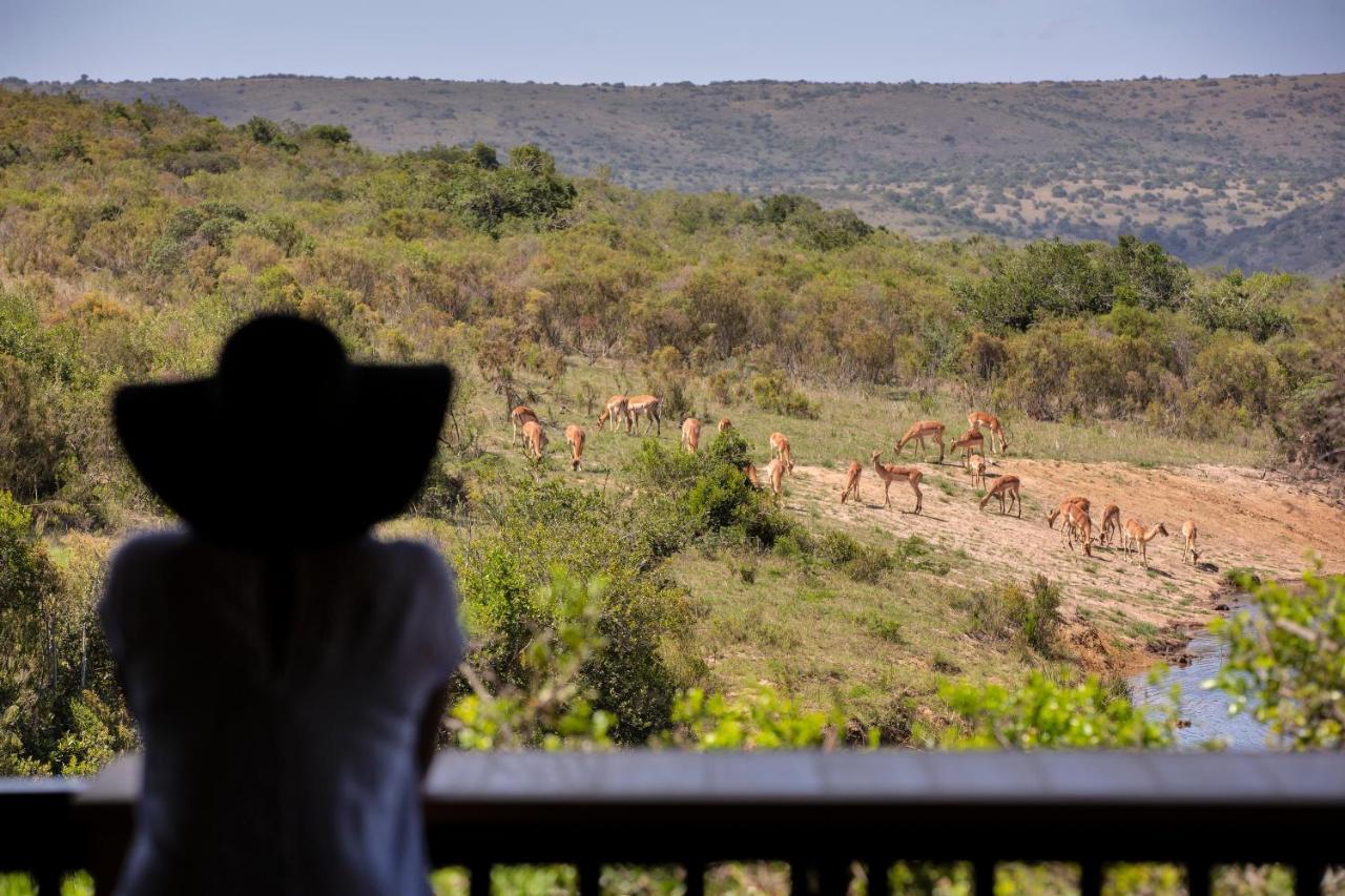 Lalibela Game Reserve - Kichaka Lodge Paterson Zewnętrze zdjęcie